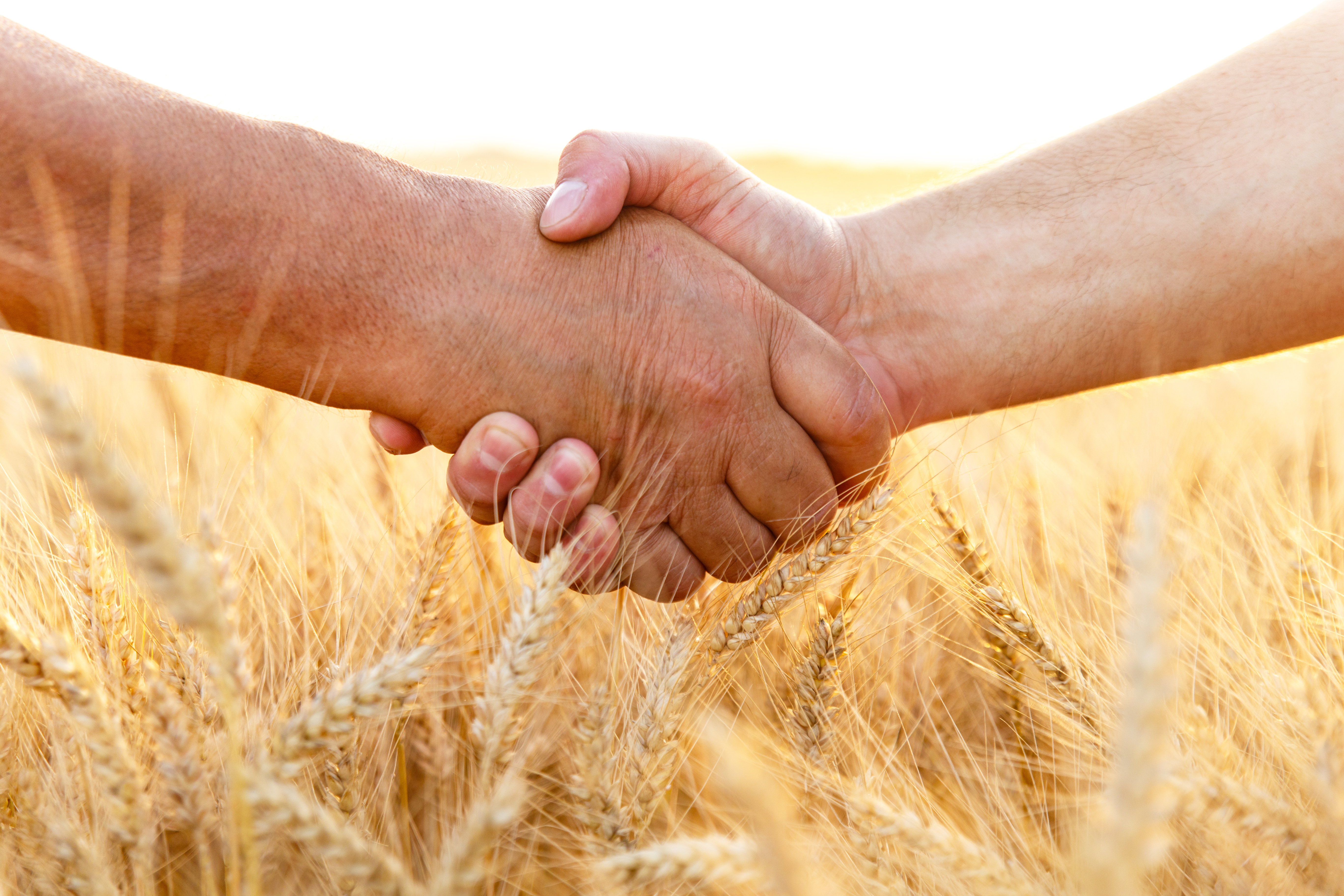 business agreement handshake deals