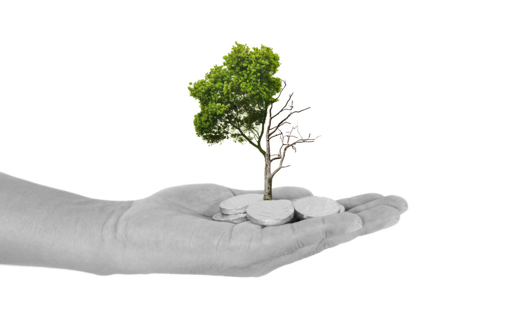 Personal Chattels Buying and Selling Property DG Law